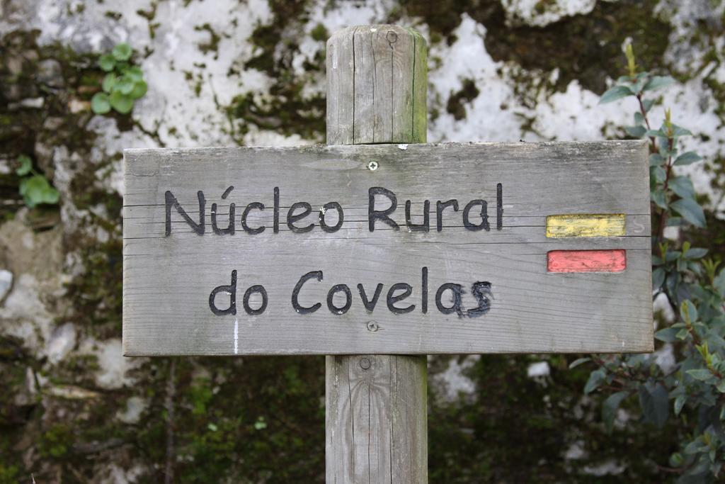 Alojamento Rural De Covelas Covelas  Kültér fotó